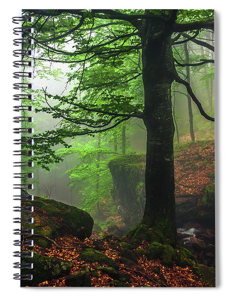Fog Spiral Notebook featuring the photograph Dark Forest by Evgeni Dinev