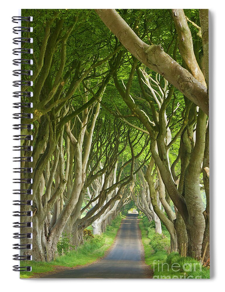 The Game Of Thrones Spiral Notebook featuring the photograph Dark Hedges, County Antrim, Northern Ireland by Neale And Judith Clark