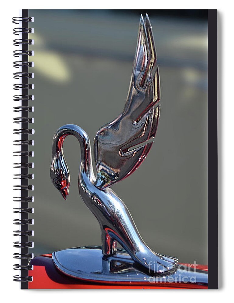 Packard Spiral Notebook featuring the photograph Darrin Cormorant by Ron Long