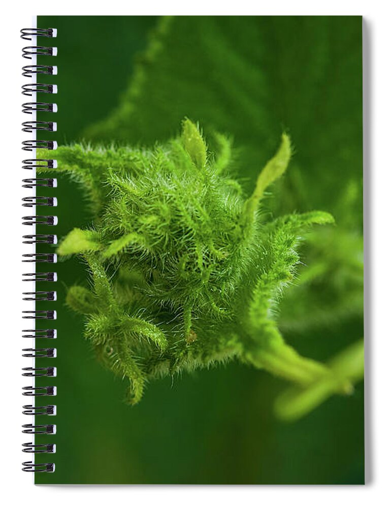 Cucumber Spiral Notebook featuring the photograph Dart's Cousin by John Kirkland