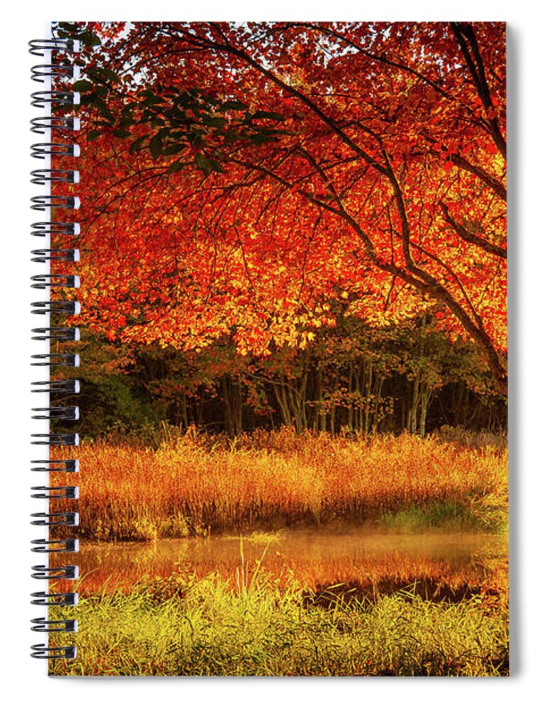 Rhode Island Fall Foliage Spiral Notebook featuring the photograph Dawn lighting Rhode Island fall colors by Jeff Folger