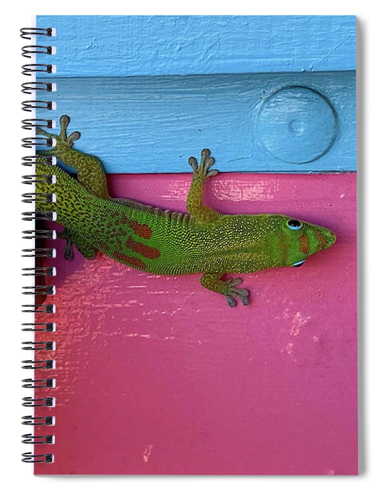 Animals Spiral Notebook featuring the photograph Day-Glow Gecko by James Covello