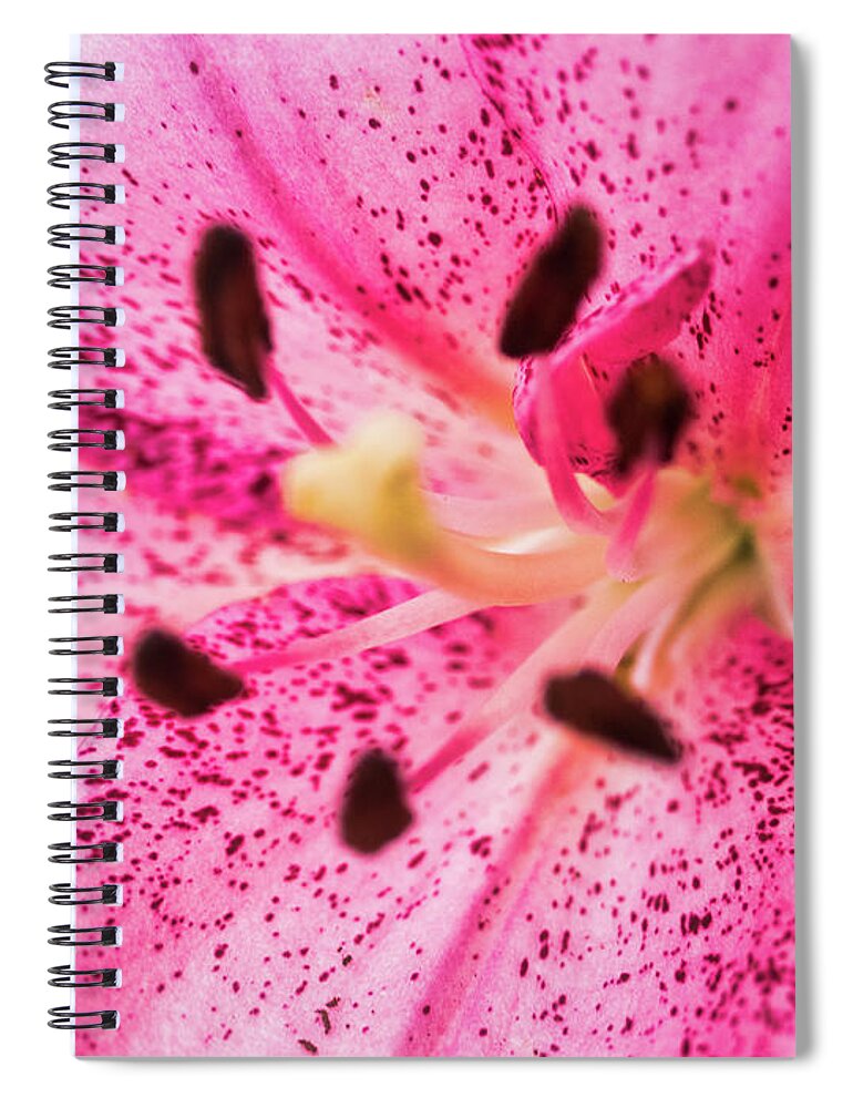Flora Spiral Notebook featuring the photograph Day lily by Segura Shaw Photography