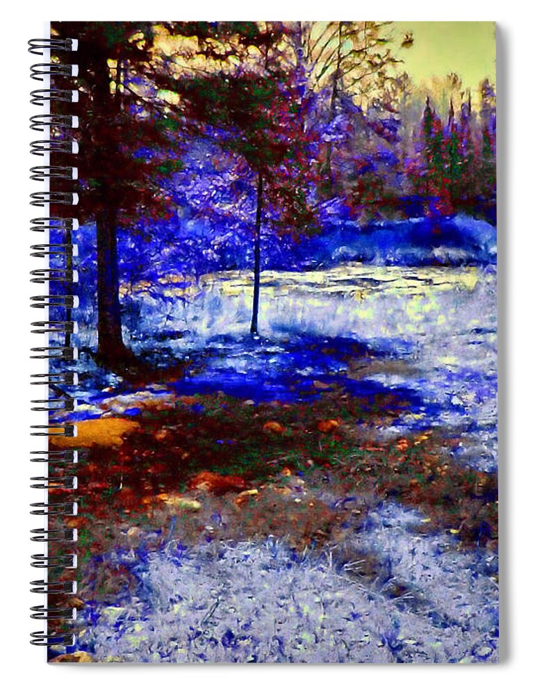  Spiral Notebook featuring the photograph Daylight on the Pond by Shirley Moravec