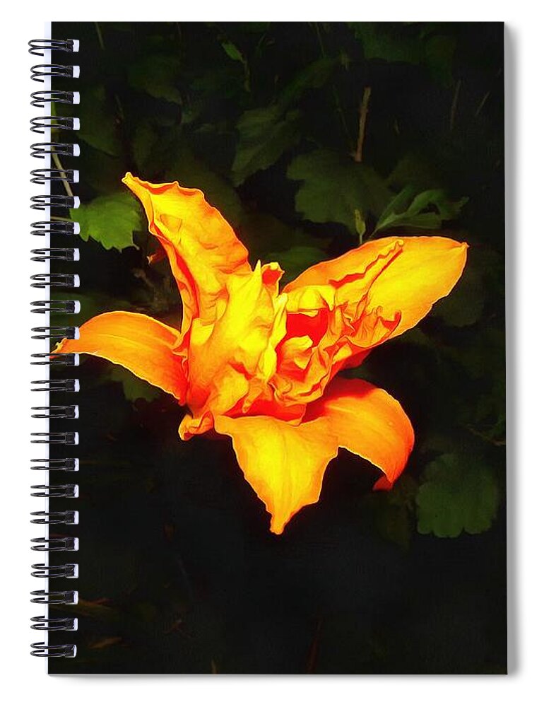 Daylily Spiral Notebook featuring the photograph Daylily at Night by Christopher Reed