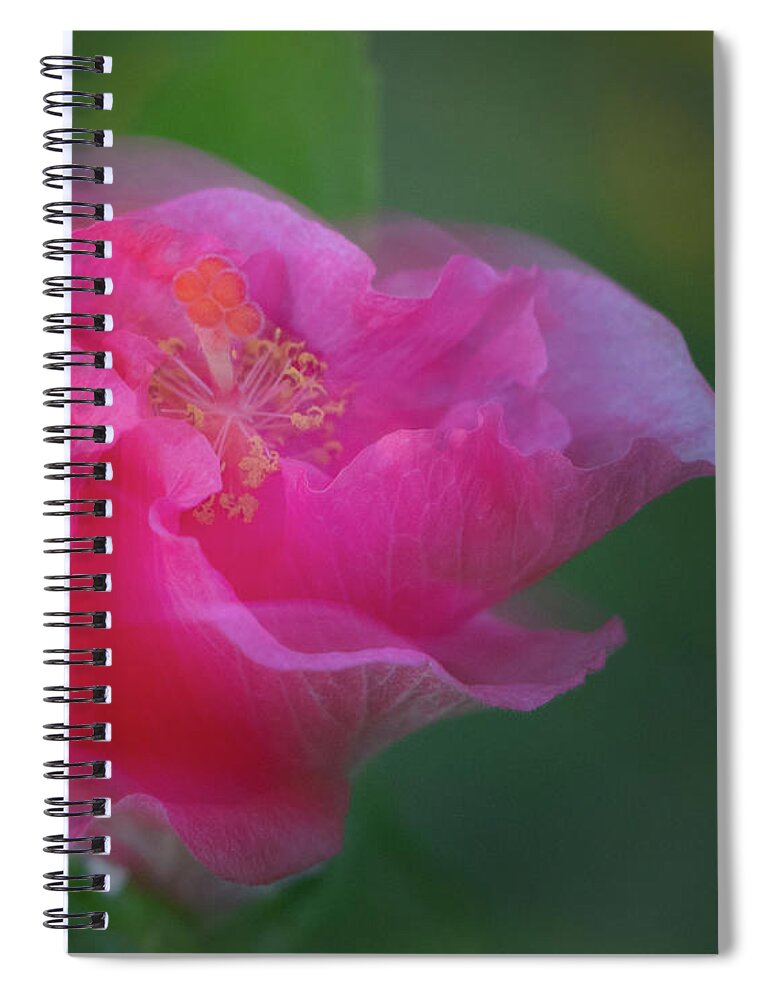 Hibiscus Spiral Notebook featuring the photograph Day's End by M Kathleen Warren