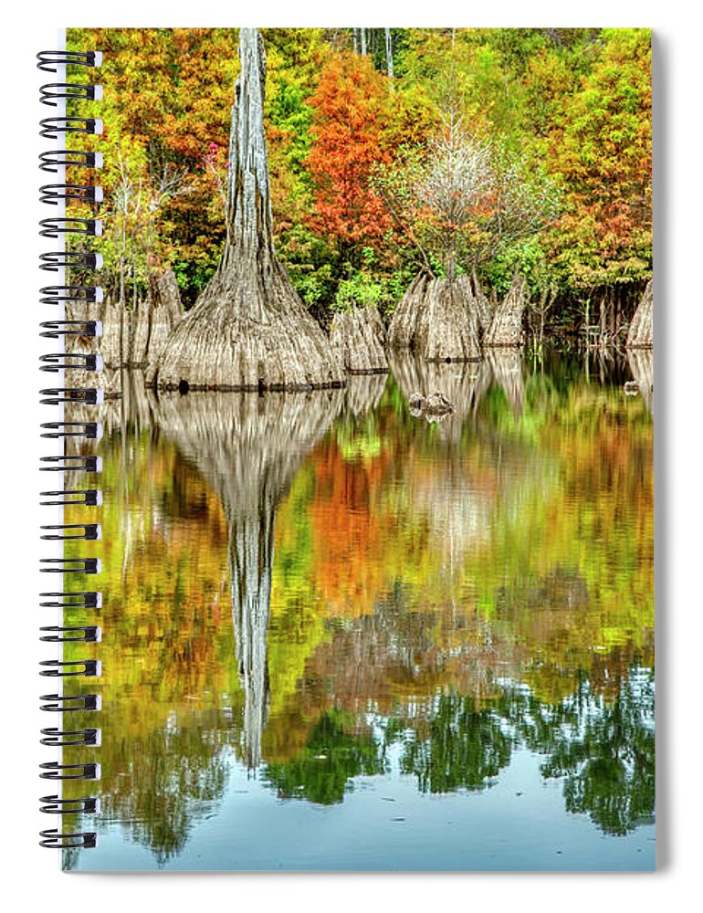 Dead Lakes Spiral Notebook featuring the photograph Dead Lakes Autumn by Jurgen Lorenzen