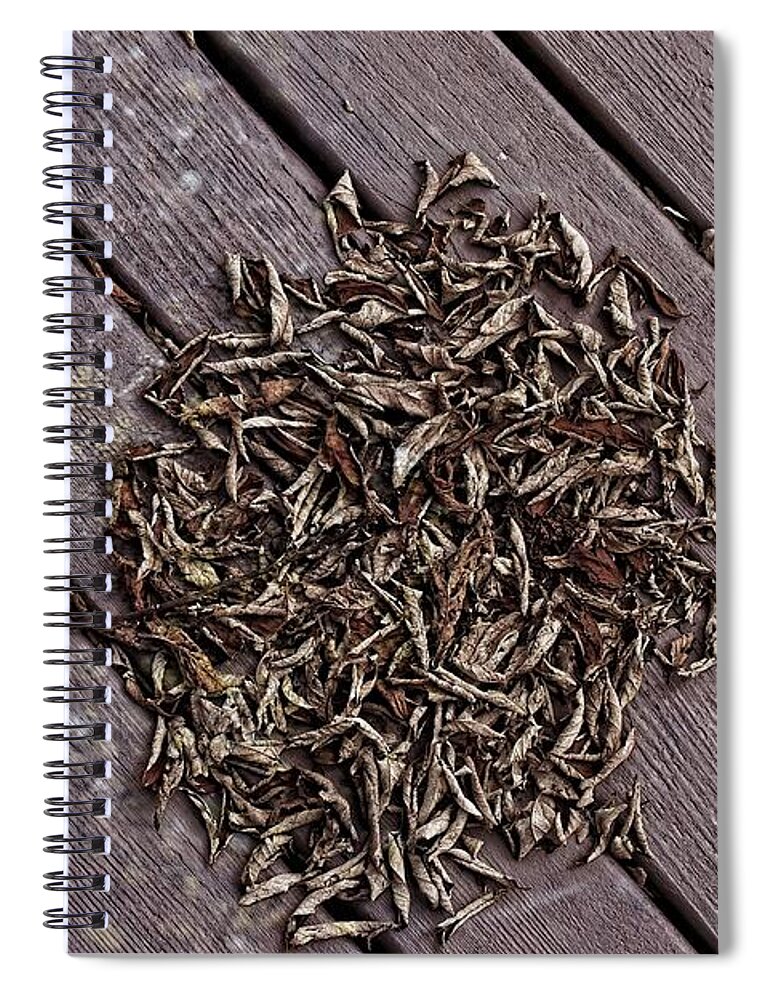 Brown Spiral Notebook featuring the digital art Dead Leaves Flower by David Desautel