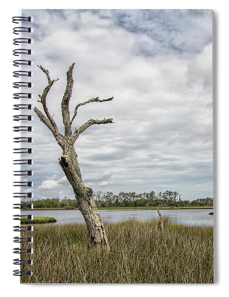 Tideland Trail Spiral Notebook featuring the photograph Dead Tree In the Marsh Along the Tideland Trail by Bob Decker