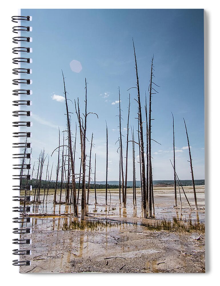 Yellowstone Spiral Notebook featuring the photograph Dead trees in Yellowstone by Alberto Zanoni