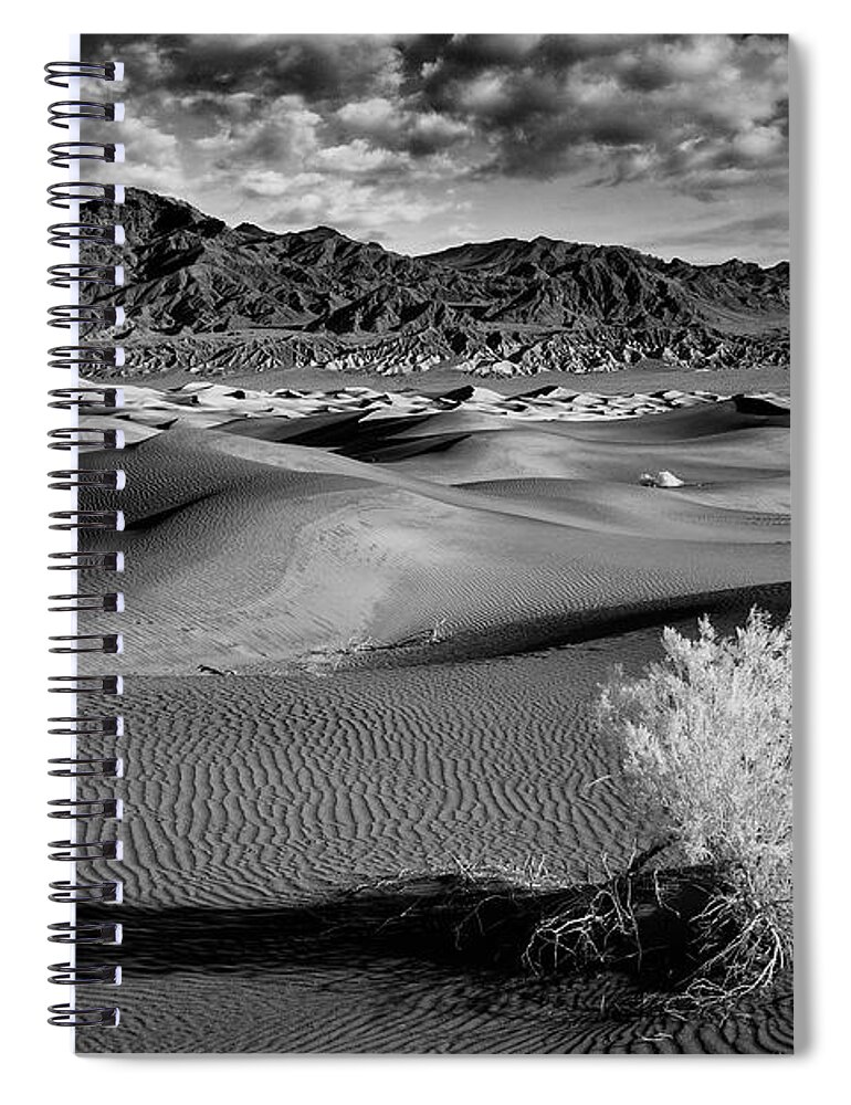 Landscape Spiral Notebook featuring the photograph Death Valley Shrub by Jon Glaser