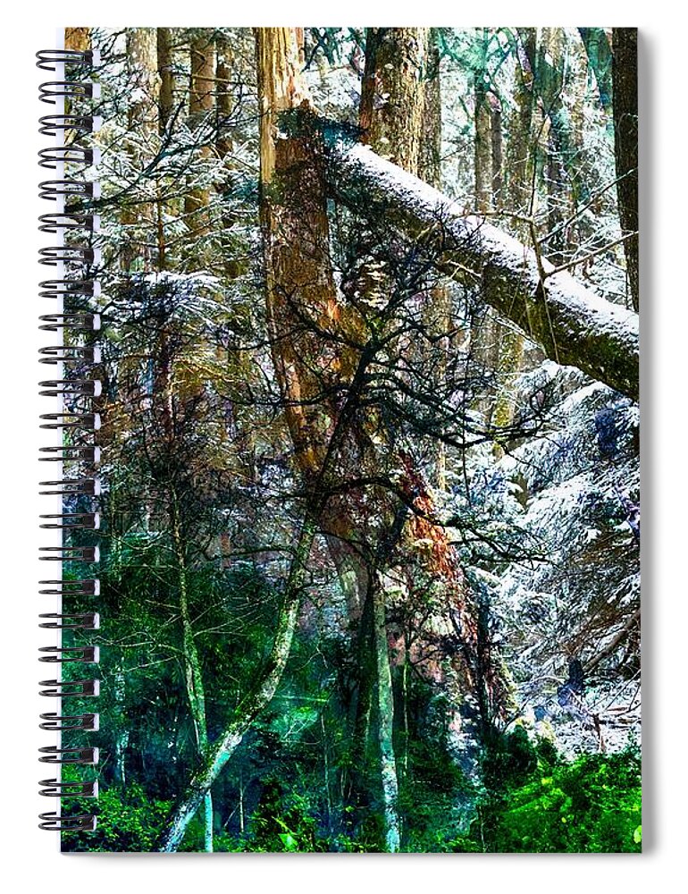 Forest Spiral Notebook featuring the digital art Deep Forest by Norman Brule