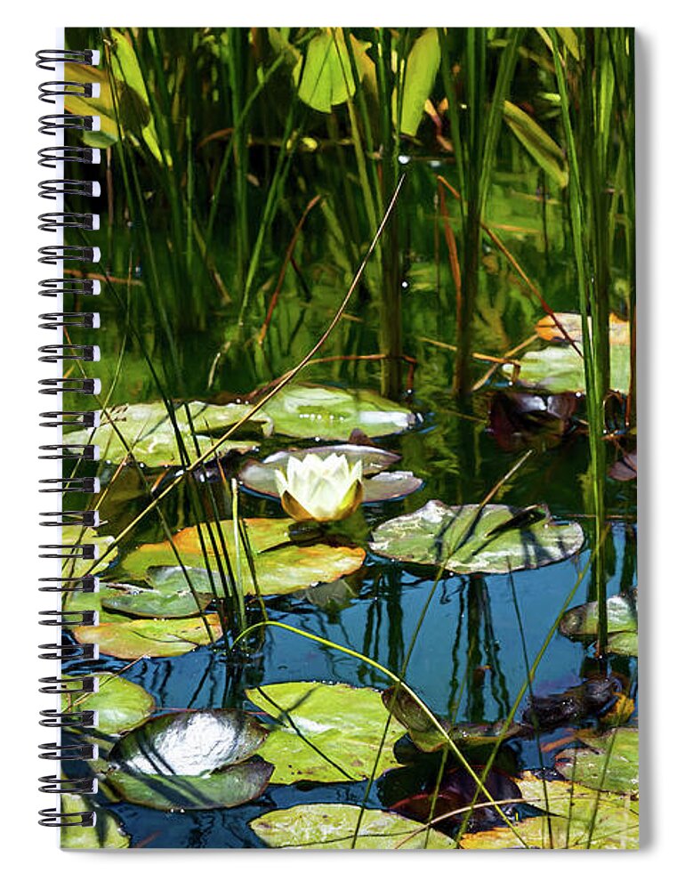 Water Lily Spiral Notebook featuring the photograph Deep in the Lily Pond by Bonnie Follett