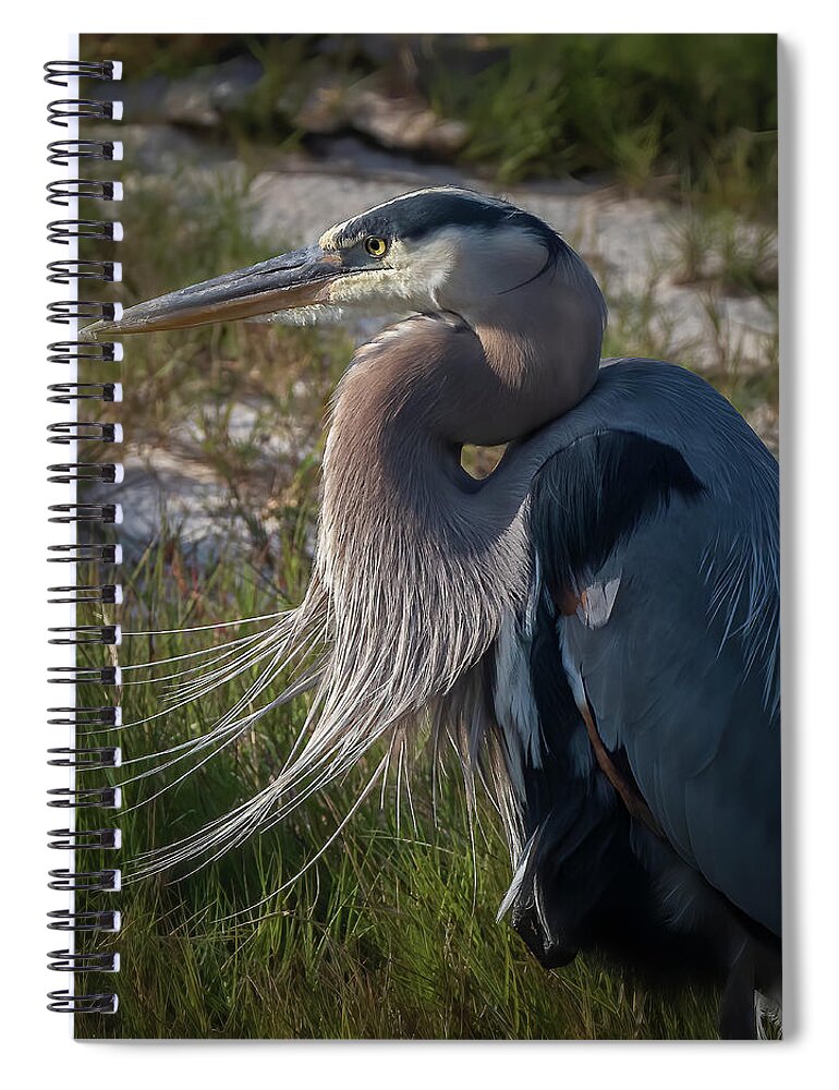 Nature Spiral Notebook featuring the photograph Deep In Thought by JASawyer Imaging