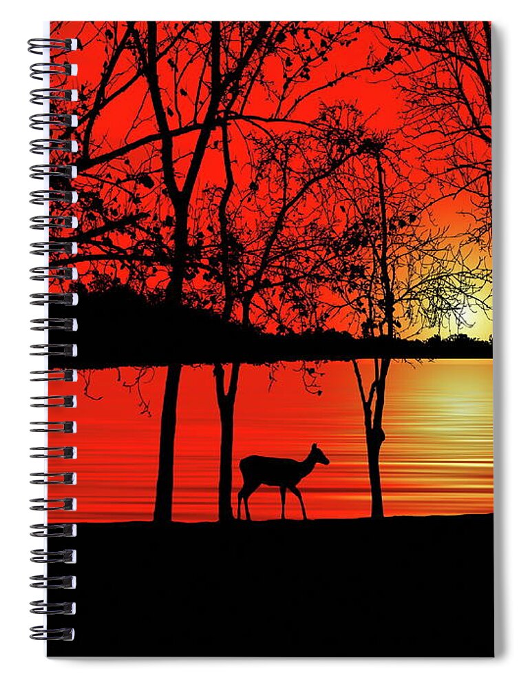 Deer Spiral Notebook featuring the photograph Deer at Sunset by Andrea Kollo
