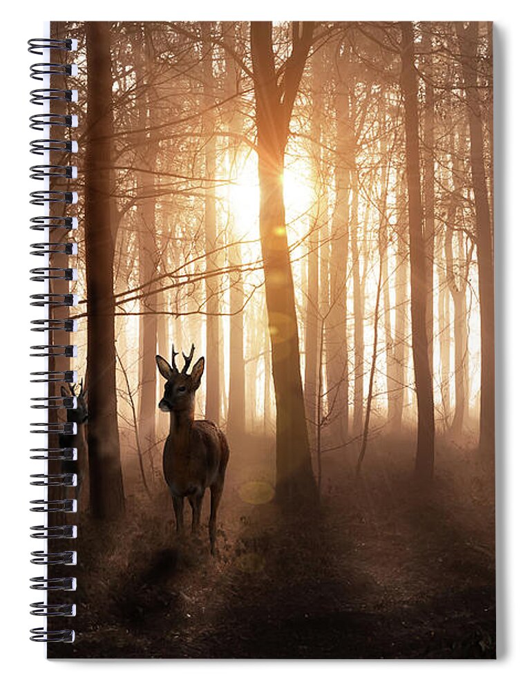 Forest Spiral Notebook featuring the photograph Deer in woods at sunrise in Norfolk England by Simon Bratt