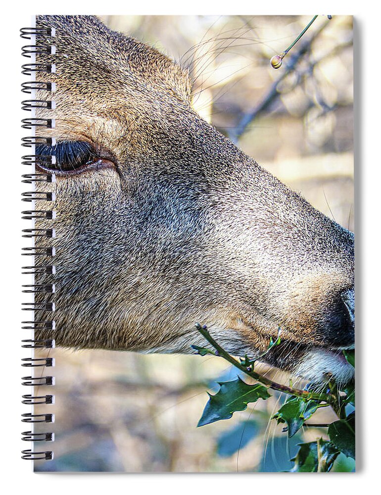 Deer Eye Green Leaves Close Spiral Notebook featuring the photograph Deer by John Linnemeyer