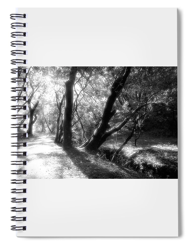 Country Road Spiral Notebook featuring the photograph Deer Park Fire Road, Fairfax CA by John Parulis