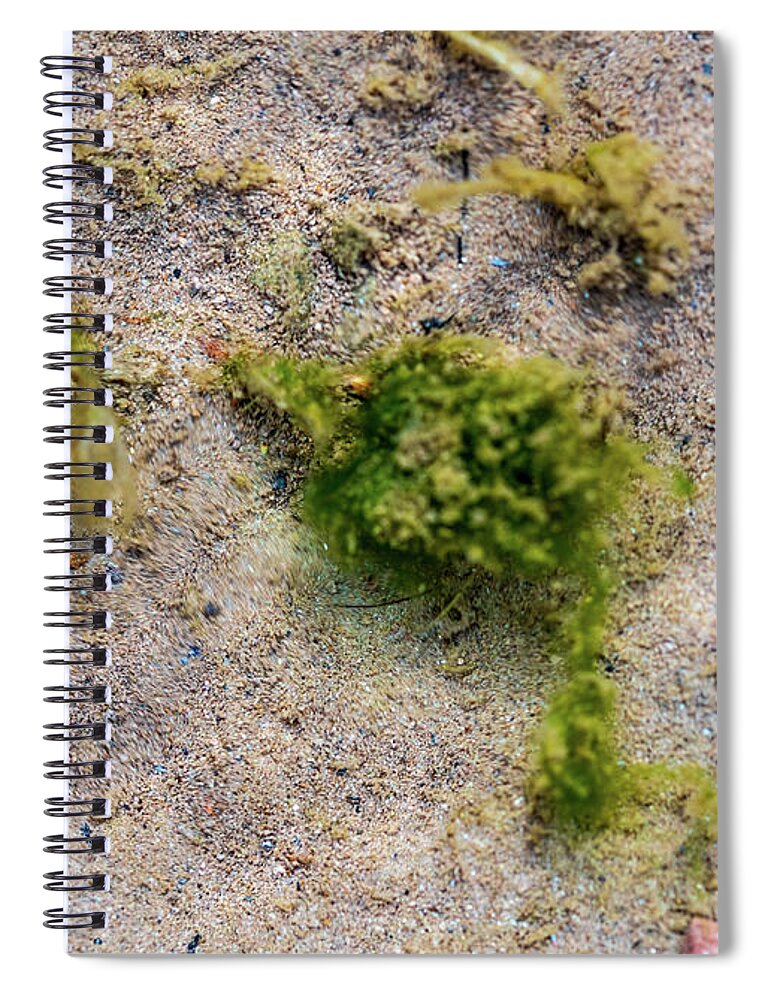 Landscapes Spiral Notebook featuring the photograph Delaware River - River of the Year 2020 Underwater by Amelia Pearn