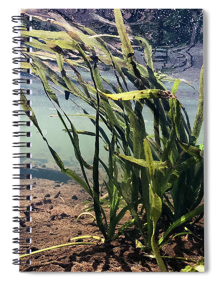 Water Spiral Notebook featuring the photograph Delaware River - River of the Year 2020 - Underwater Scene by Amelia Pearn