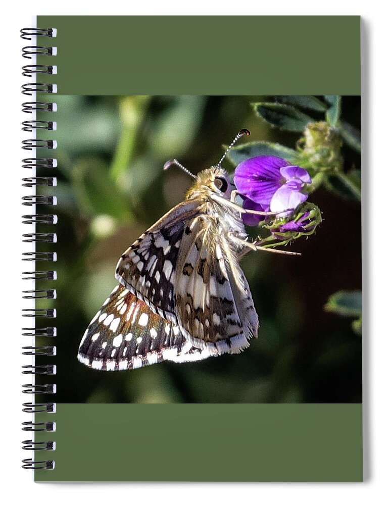 Butterfly Spiral Notebook featuring the photograph Delicate Beauty by Laura Putman