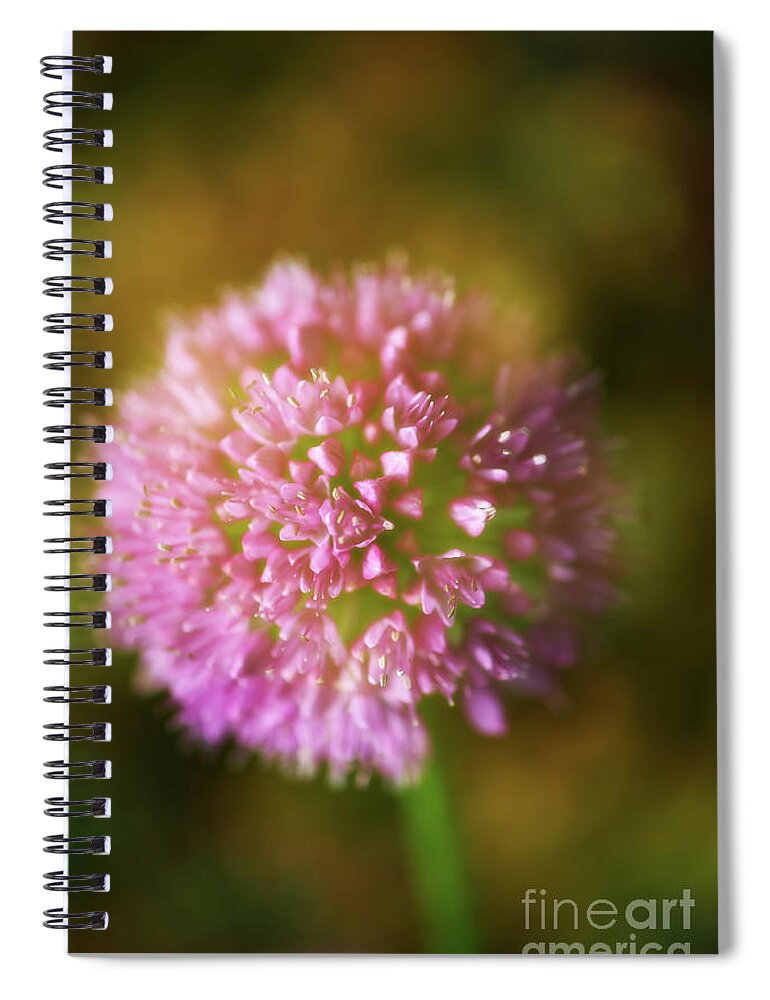 Allium 'millenium' Spiral Notebook featuring the photograph Delight to the Eye by Venetta Archer
