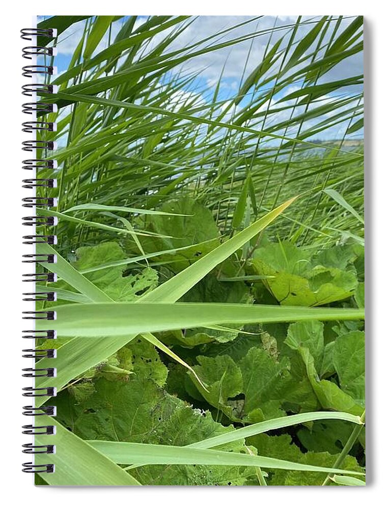 July Spiral Notebook featuring the photograph Denmark Nature July by Colette V Hera Guggenheim