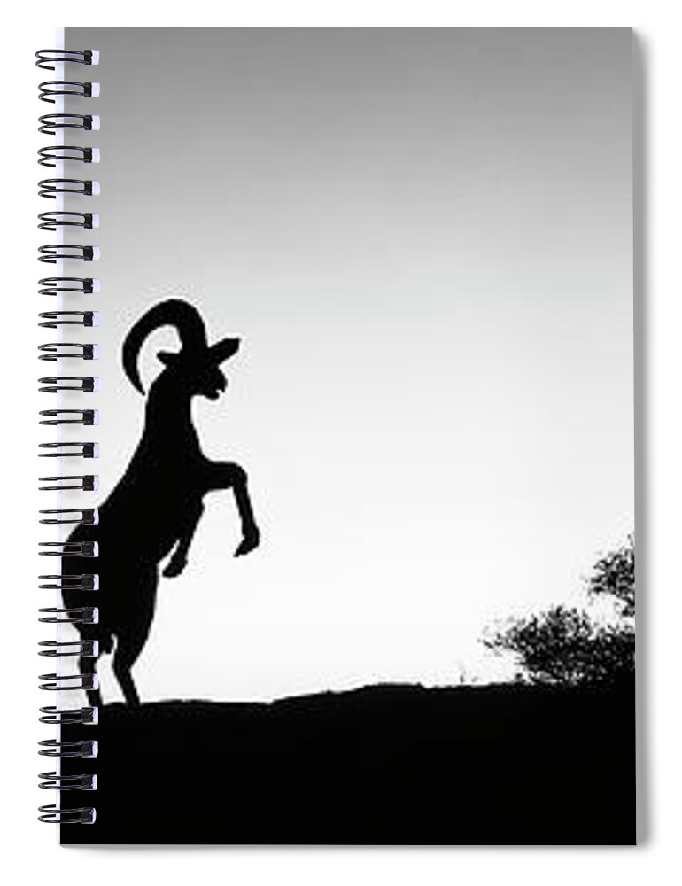 Desert Bighorn Ram Metal Sculptures Spiral Notebook featuring the photograph Desert bighorn ram metal sculptures, Galleta Meadows Estate, Borrego Springs, California, USA by Panoramic Images