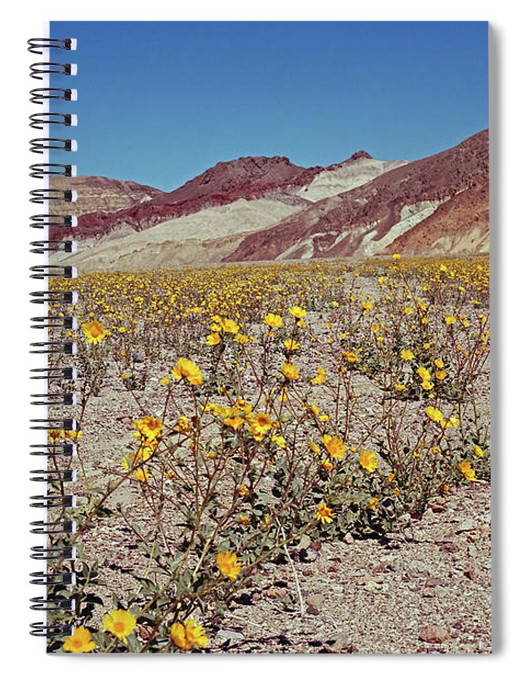 Tom Daniel Spiral Notebook featuring the photograph Desert Gold Super Bloom by Tom Daniel