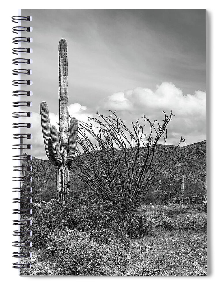 Desert Spiral Notebook featuring the photograph Desert Landscape Black and White Vertical by Teresa Wilson