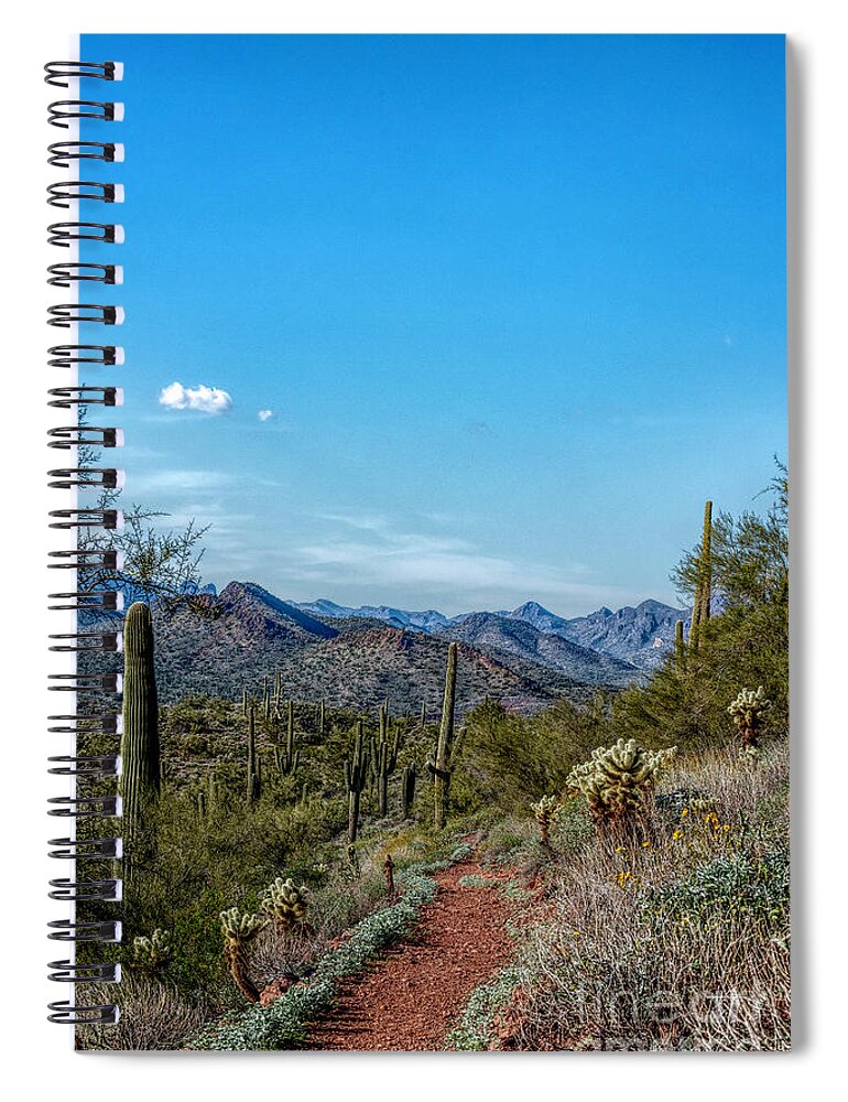 Desert Spiral Notebook featuring the photograph Desert Pathway by Pamela Dunn-Parrish