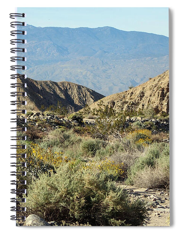 Desert Oasis Spiral Notebook featuring the photograph Desert Scene 6 Coachella Valley Wildlife Preserve by Colleen Cornelius