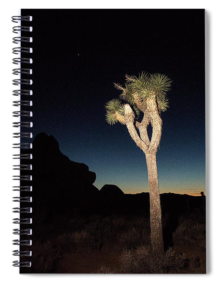 Joshua Tree National Park Spiral Notebook featuring the photograph Desert Scene 8 by Joseph Philipson