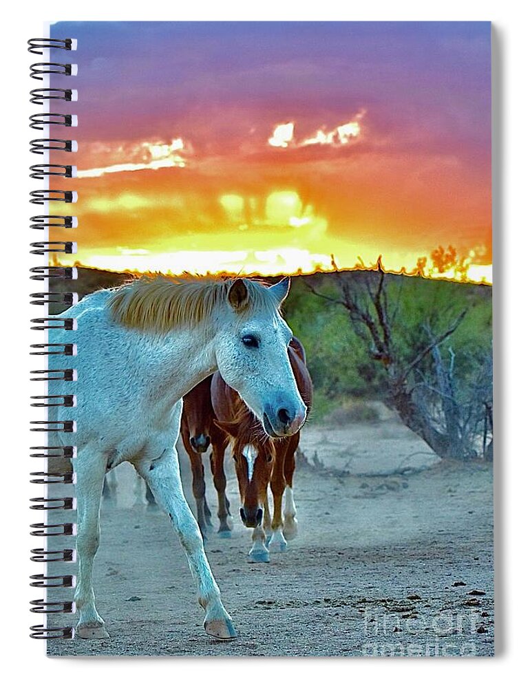 Salt River Wild Horses Spiral Notebook featuring the digital art Desert Sunset by Tammy Keyes