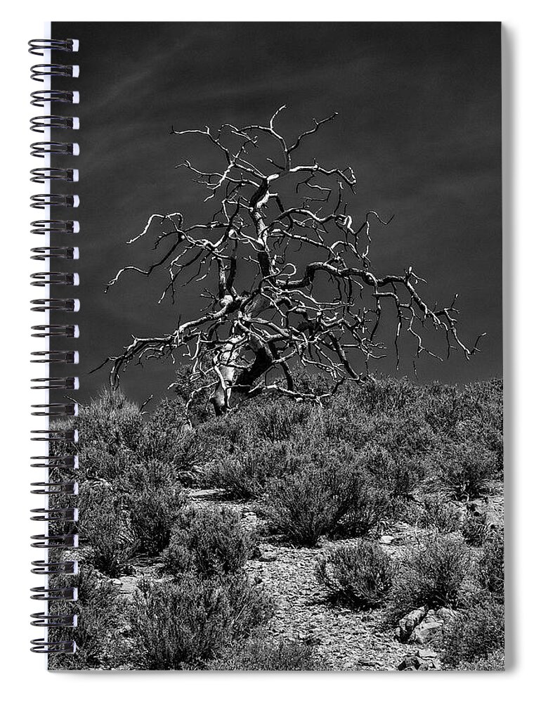 Deserted Spiral Notebook featuring the photograph Deserted in the Desert by Phil Marty