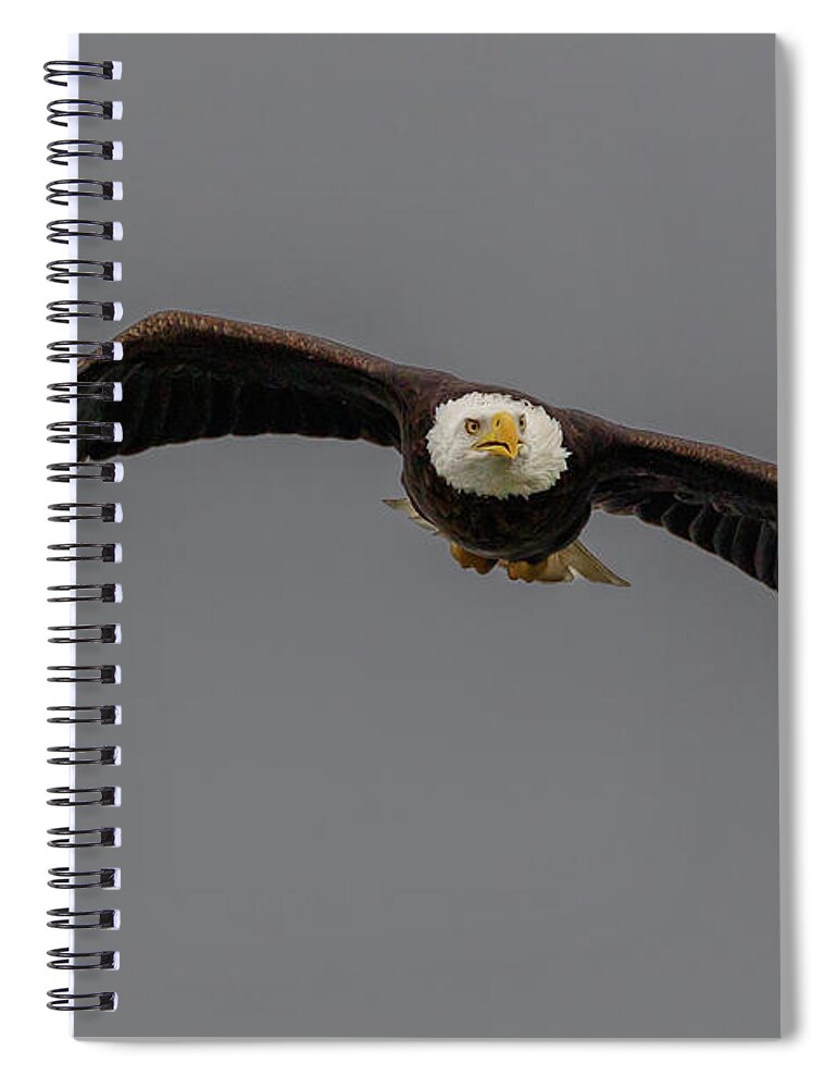 Eagle Spiral Notebook featuring the photograph Determination by Les Greenwood