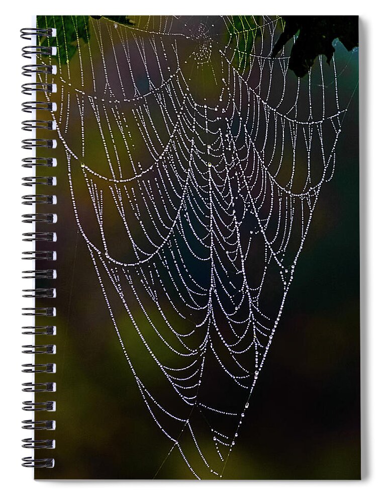 Dew Spiral Notebook featuring the photograph Dew on a Spider Web - Washington, West Virginia by David Morehead