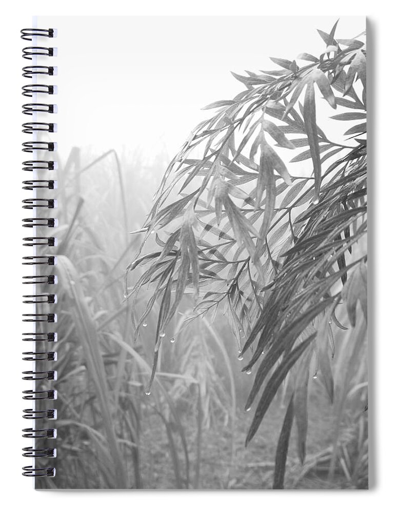 Rural Photography Spiral Notebook featuring the photograph Dew's drops by Jarek Filipowicz