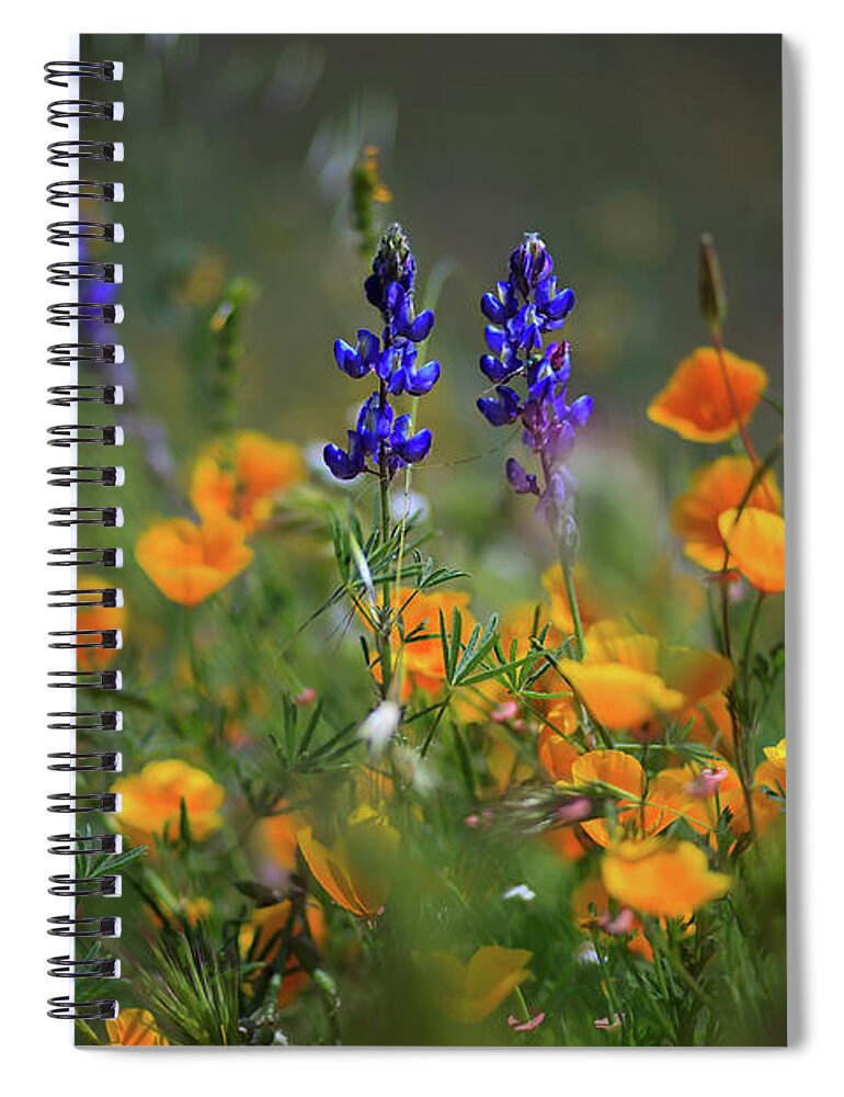 Lupine Spiral Notebook featuring the photograph Diamond Valley Lake Wildflowers by Sam Antonio
