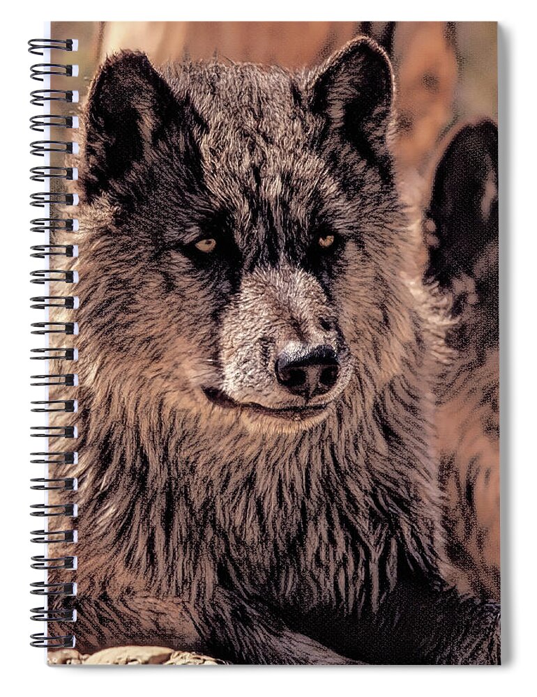 Wolf Spiral Notebook featuring the photograph Digital Enhanced Wolf by MaryJane Sesto