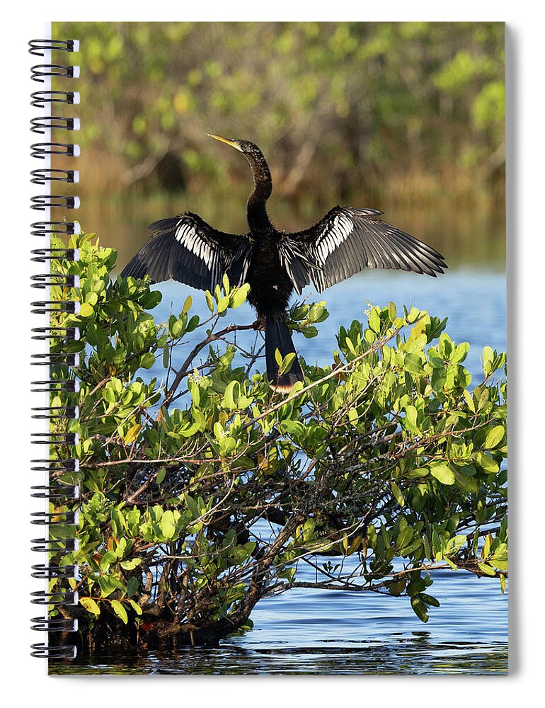 R5-26151 Spiral Notebook featuring the photograph Directing Traffic by Gordon Elwell