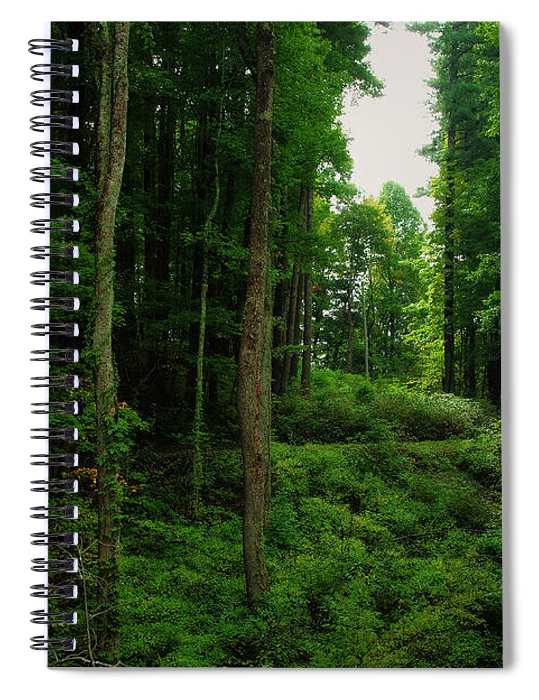 Road Spiral Notebook featuring the photograph Dirt Road in the Smokies by Shelia Hunt