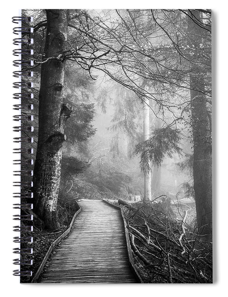 Black And White Spiral Notebook featuring the photograph Divine Forest by Philippe Sainte-Laudy