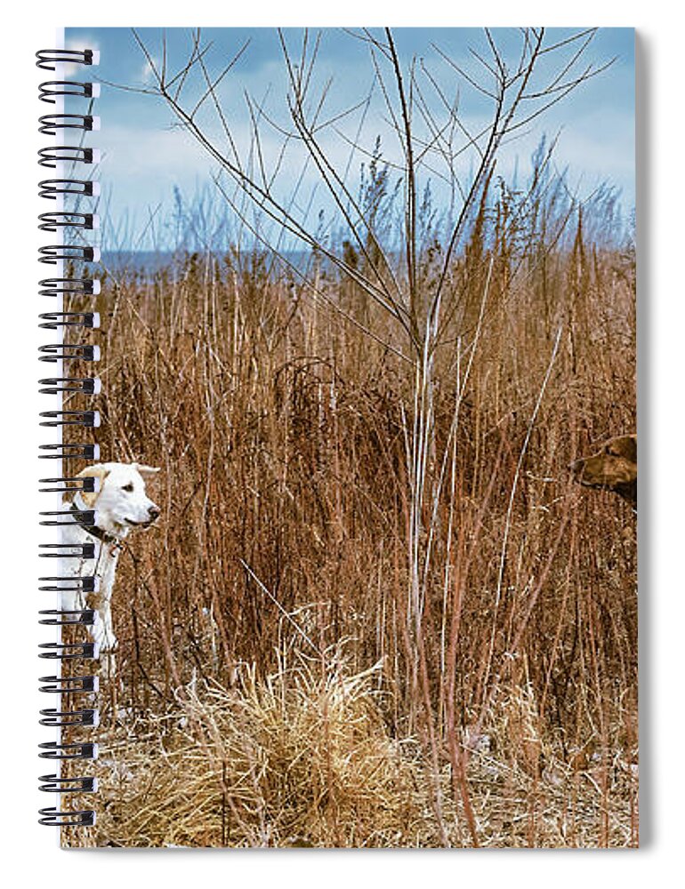 Ashbridges Bay Spiral Notebook featuring the photograph Dog Day at the Beach II by Dee Potter