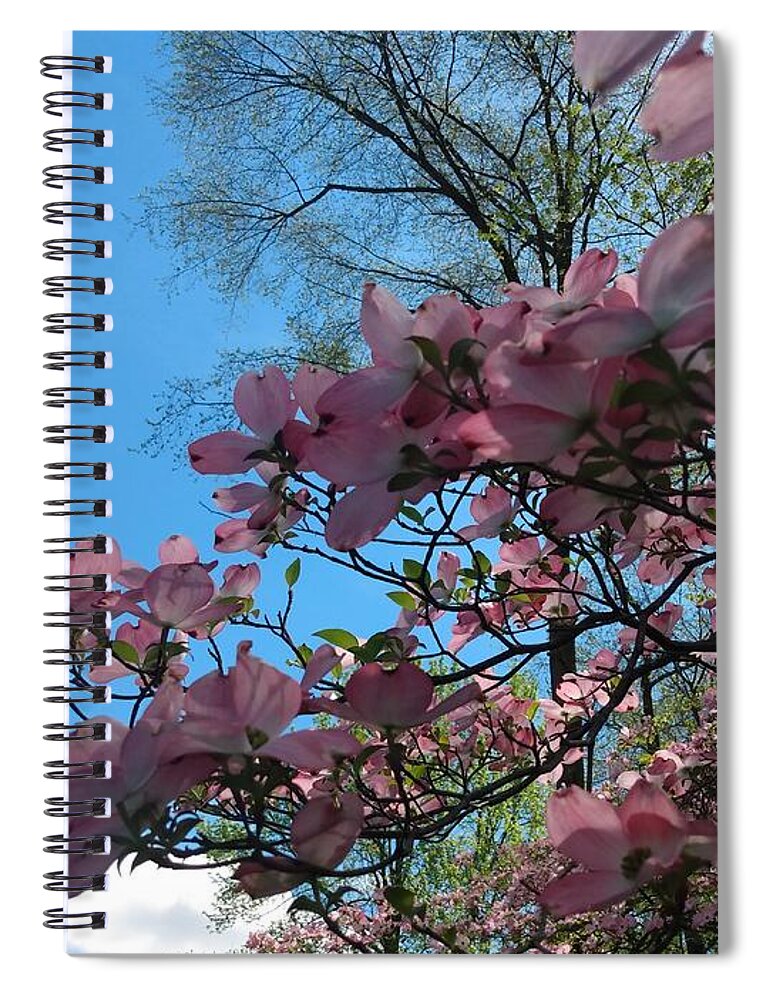 Sky Spiral Notebook featuring the photograph Dogwood Tree and Blue Skies by Christopher Lotito
