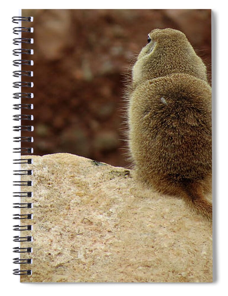 Animals Spiral Notebook featuring the photograph Don't Talk To Me by Mary Mikawoz
