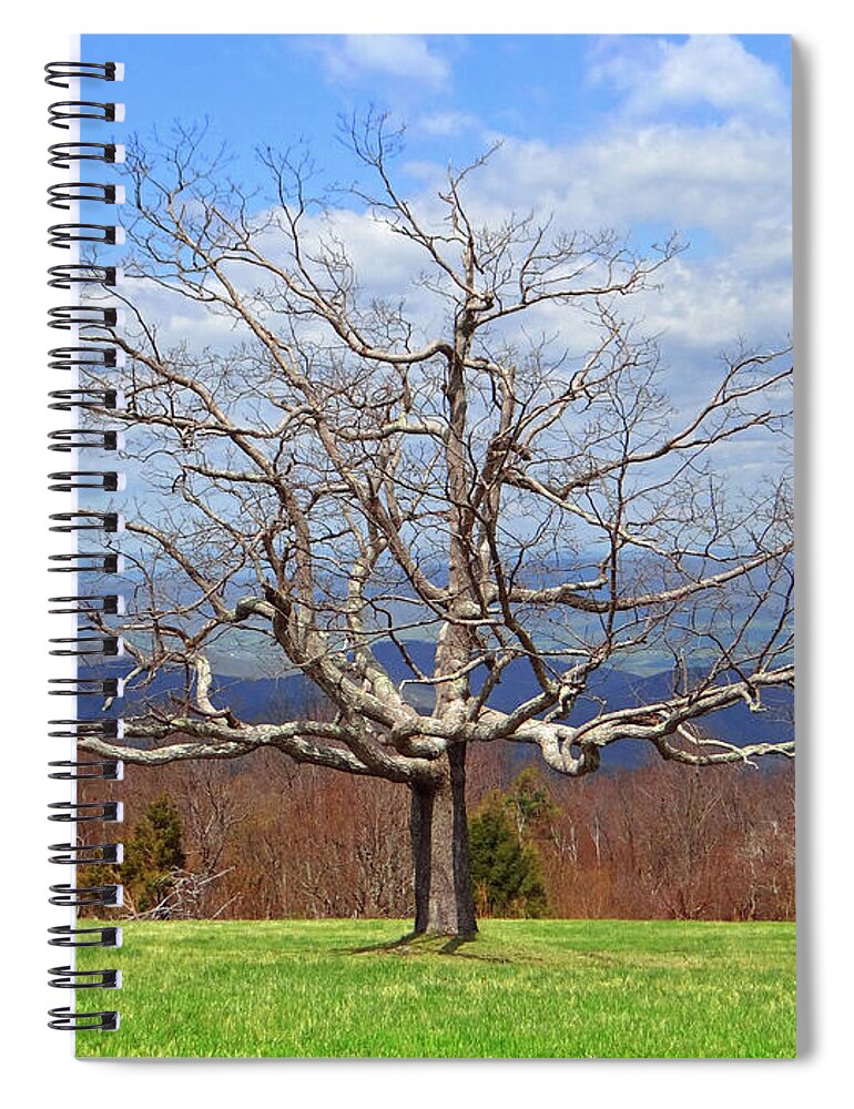 Dormant Tree Spiral Notebook featuring the photograph Dormant Tree, Skyline Drive by The James Roney Collection