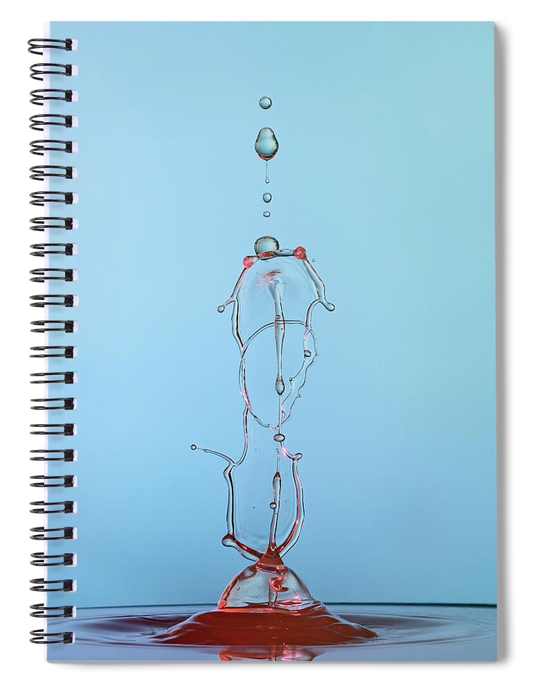 Abstract Spiral Notebook featuring the photograph Double Trouble by Sue Leonard