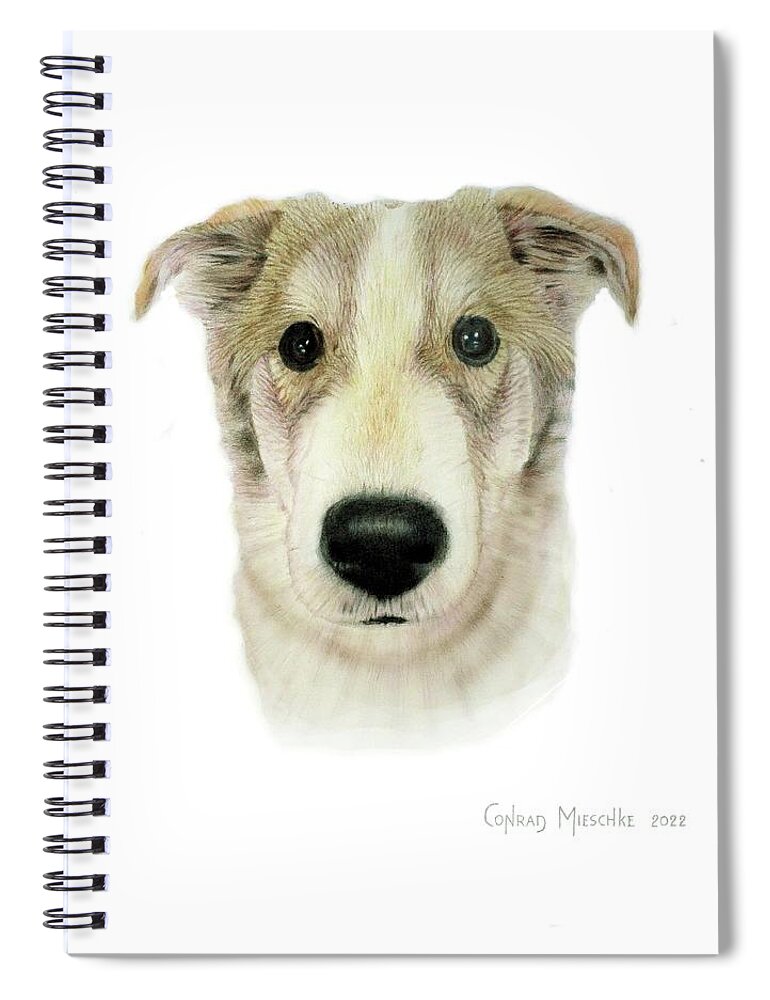 Dog Spiral Notebook featuring the drawing Douglas by Conrad Mieschke