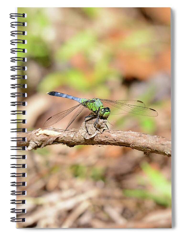 Spiral Notebook featuring the photograph Dragon 3 by David Armstrong